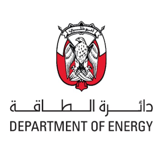 Government Partner 7